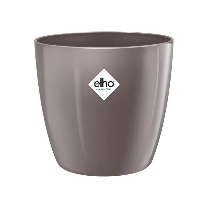 brussels diamond round 25cm oyster pearl